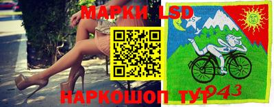 тгк Кандалакша