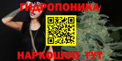 тгк Кандалакша