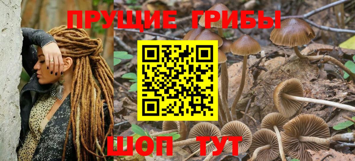 Галлюциногенные грибы Psilocybine cubensis  Вход с VPN  Котлас 